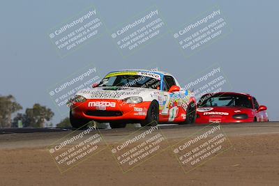 media/Oct-15-2023-CalClub SCCA (Sun) [[64237f672e]]/Group 4/Qualifying/